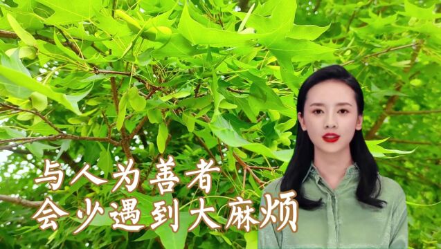 与人为善者,会少遇到大麻烦