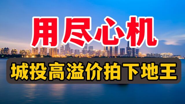 地王,地王,又是地王,合肥城投高溢价拍下地王