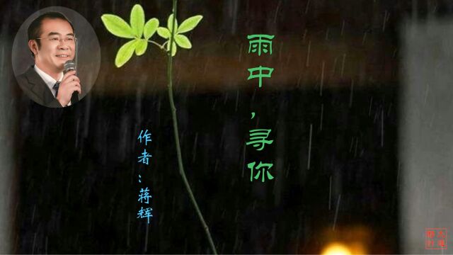 《雨中,寻你》作者:蒋辉 诵读:大连伙计