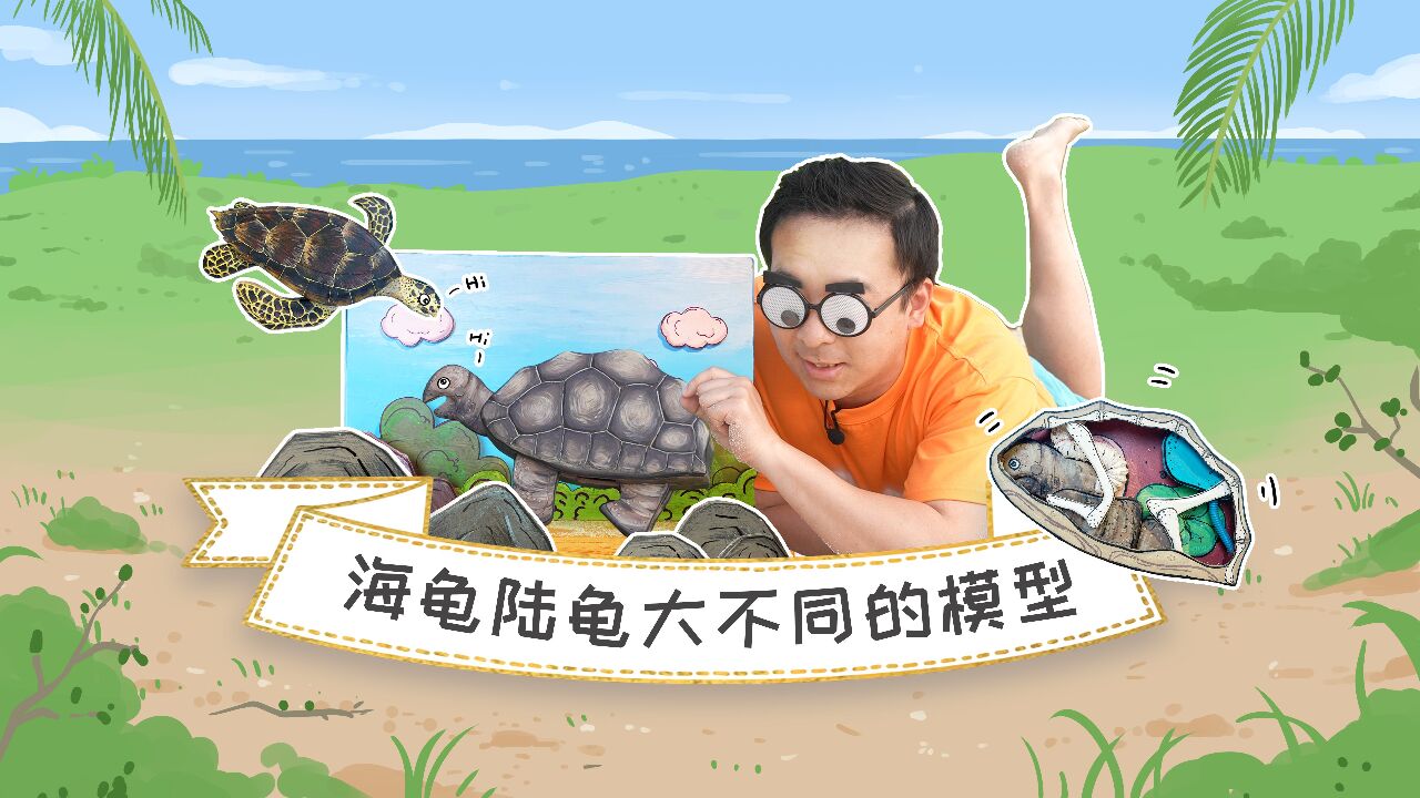 龟壳里面长啥样?所有的龟龟都能缩头进壳里吗?_高清1080P在线观看平台_腾讯视频