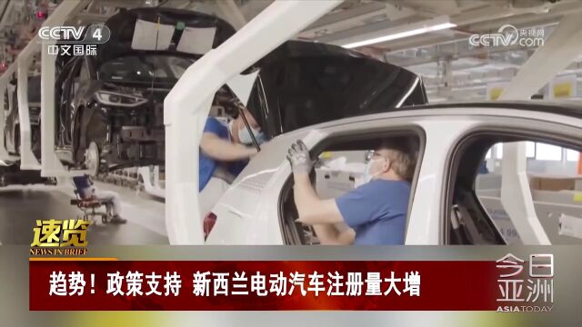 趋势!政策支持 新西兰电动汽车注册量大增