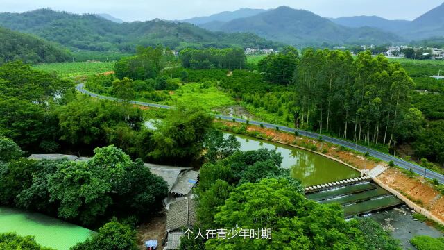 朴初营地(惠州)