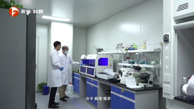 安徽神东生物科技——科技创造未来 专业铸就品牌