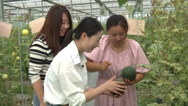 “乡村振兴融媒行”大型新闻活动(第二季)第三站走进程庄镇