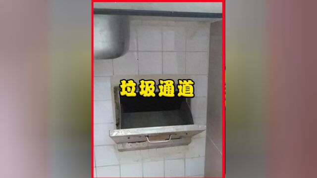 女子炫耀新加坡“垃圾道”,却被网友回怼:它早就被中国淘汰了!