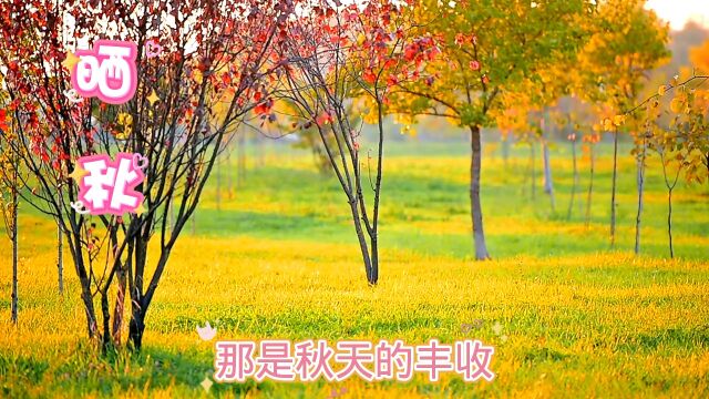 晒秋的乡村田园是一幅美丽的画卷,它描绘了大自然的壮丽和丰收的喜悦