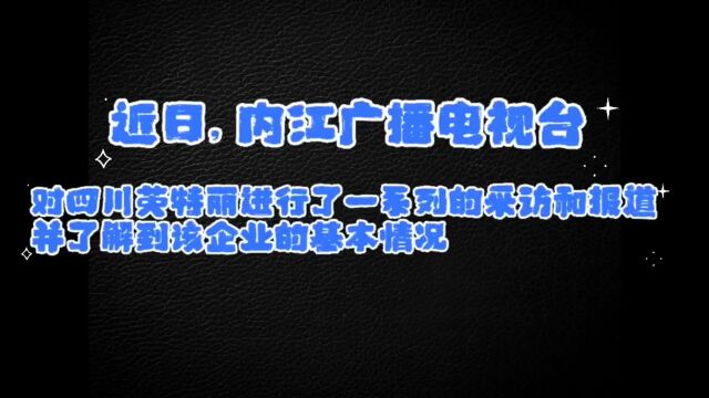 内江广播电视台对四川英特丽进行了一系列的采访和报道,并从中了解到该企业的基本情况##