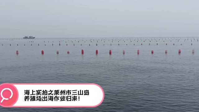 海上实拍之莱州市三山岛养殖场出海作业归来!