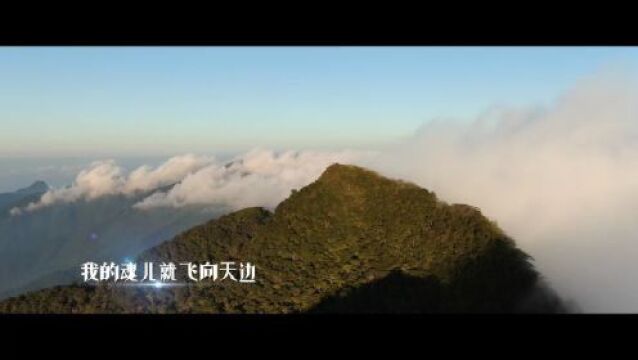 “海南热带雨林国家公园”推广曲《雨林时光》MV上线发布