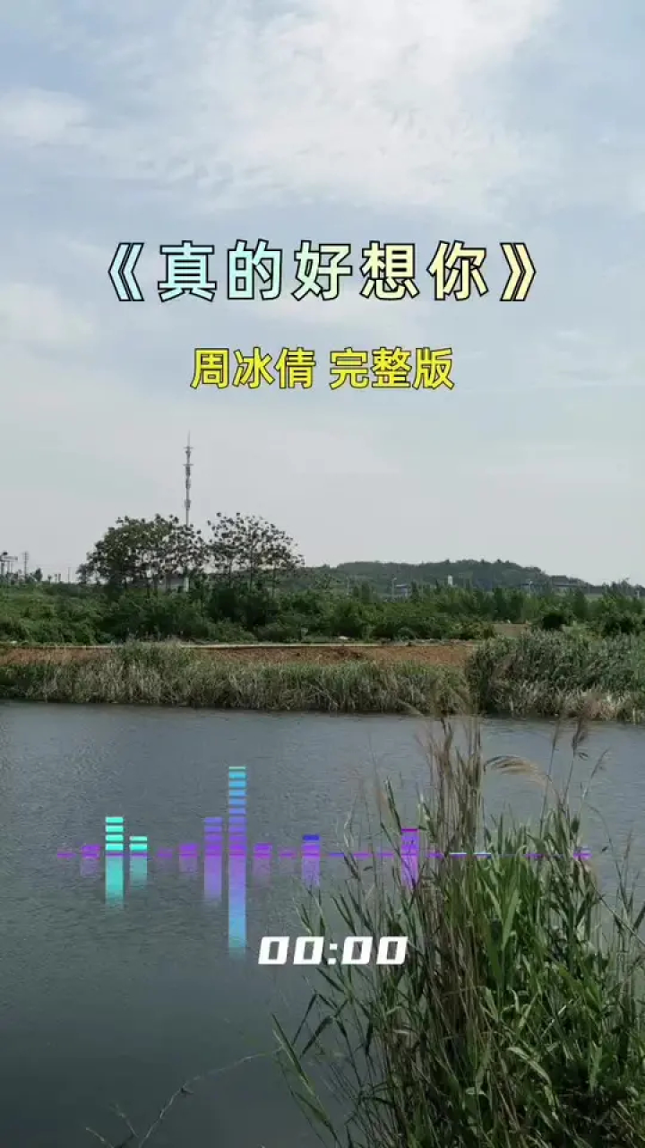 真的好想你 #经典老歌