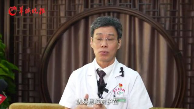 深调研 办实事|岐黄护苗,让小学生成为中医药文化“小达人”