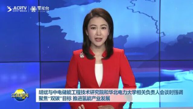 胡斌与中电储能工程技术研究院和华北电力大学相关负责人会谈时强调 聚焦“双碳”目标 推进氢能产业发展