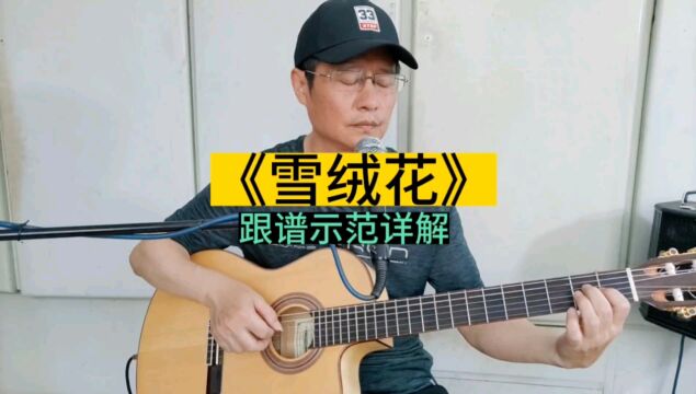 《雪绒花》吉他独奏曲,经典老歌D调编配