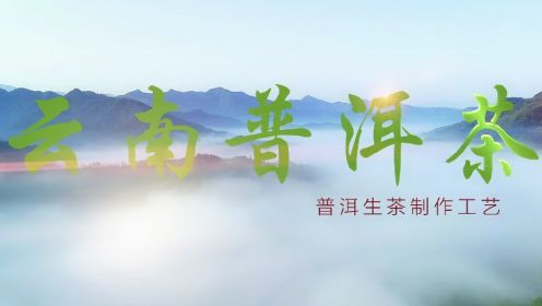 2023滇南古韵·阿颇谷·芷兮文化云南普洱茶宣传片