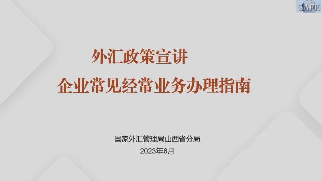 货物贸易行政许可业务办理——毛梓先