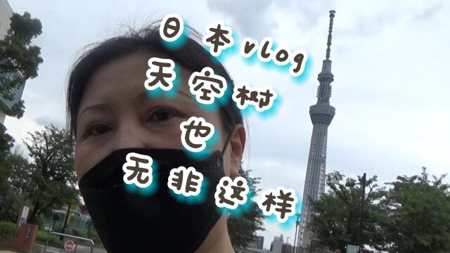 日本vlog:体验免费观看天空树的方法,然后吃荞麦面配山药和海苔