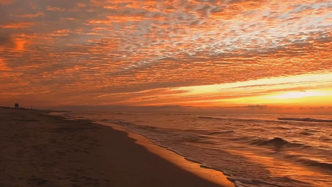 你所追逐的感情和名利只是一个自我意识的幻影,宁愿选择在梦里迷茫,也