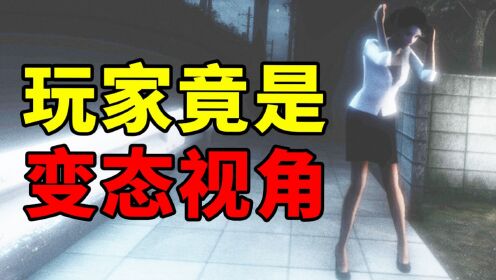 让玩家体验变态的视角？这游戏的玩法过于真实！_高清