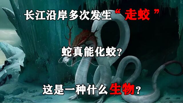 长江沿岸多次发生“走蛟”,蛇真能化蛟?这是一种什么生物?