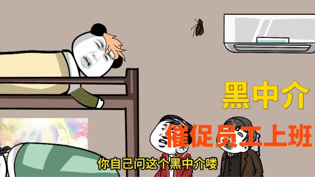 黑中介催促员工上班