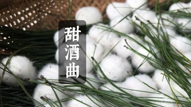 用农村常见的植物自制甜酒曲,把握好环境和温度酒曲才能完美发酵