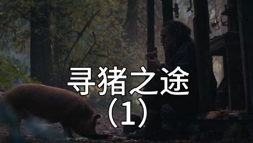 松露猎人寻找猪儿子的冒险之旅，凯爷能否找到失散已久的松露猪？