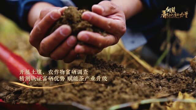 向前,看见地质的力量——湖北省地质局