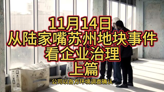 11月14日 从陆家嘴苏州地块事件看企业治理 上篇