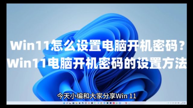 Win11怎么设置电脑开机密码?Win11电脑开机密码的设置方法!