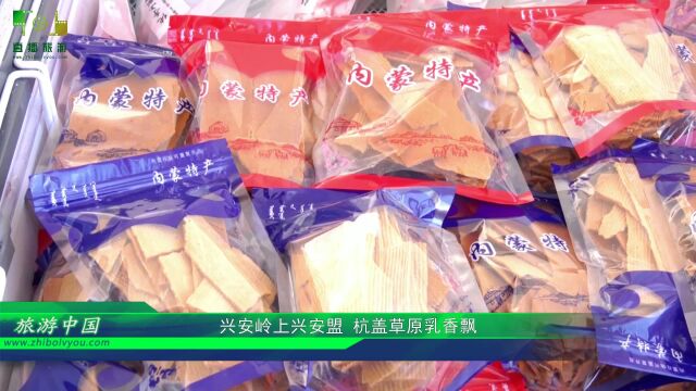 视频:兴安岭上兴安盟 杭盖草原乳香飘