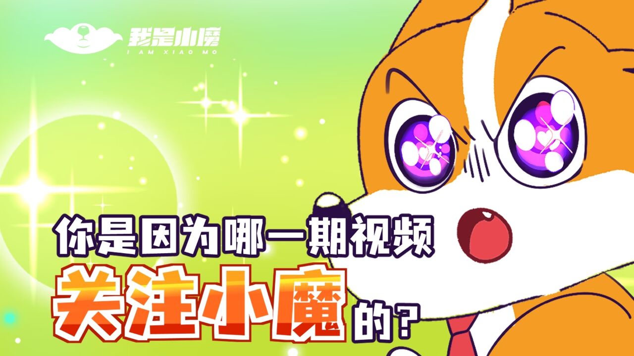 你是因为哪一期视频关注小魔的?