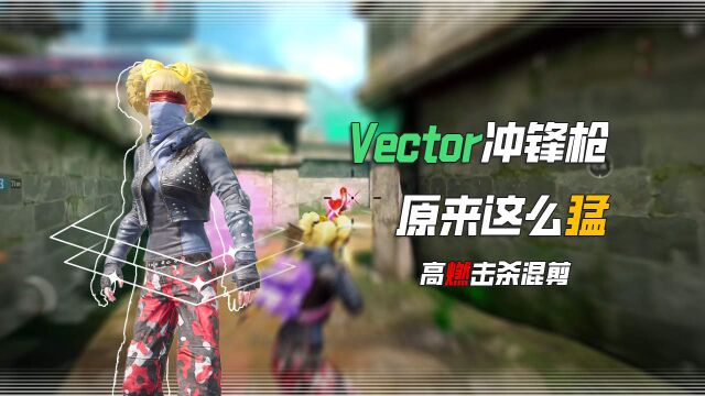 一个视频告诉你Vector有多猛