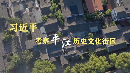 第1视点丨习近平考察平江历史文化街区
