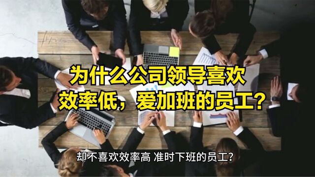 为什么公司领导喜欢效率低,爱加班的员工?