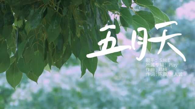 北部湾大学新闻系21级摄像实训期末作品《五月天》MV 