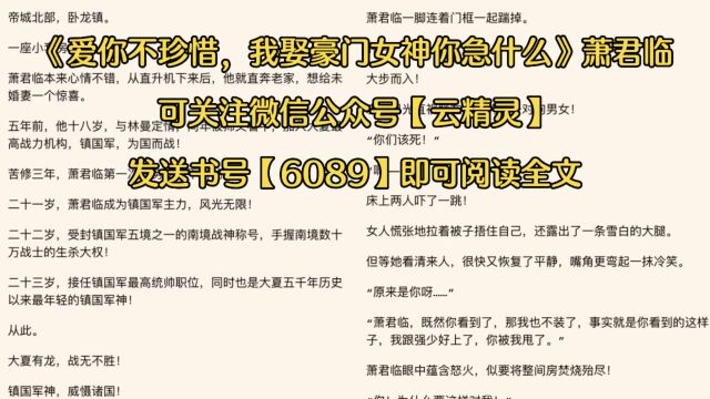 《爱你不珍惜,我娶豪门女神你急什么》◇萧君临全文免费阅读(完结小说)