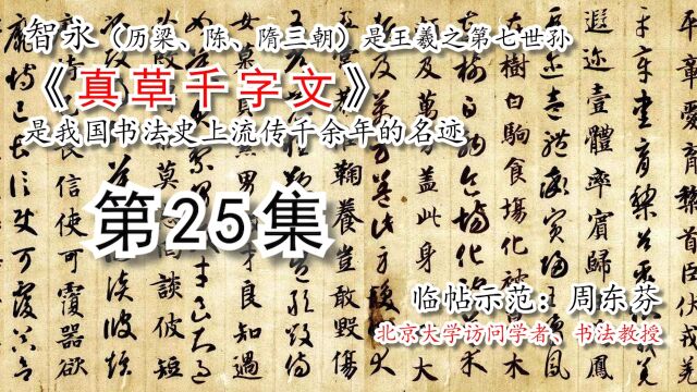 隋 智永《真草千字文》全文书法【周东芬临帖视频】第25集