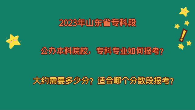 2023年山东专科段,公办本科院校专科专业如何报考?适合分数段?