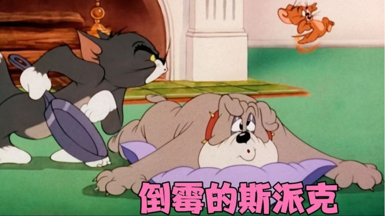 史上最惨的狗子斯派克,只是想安心睡个觉,却被汤姆与杰瑞打扰