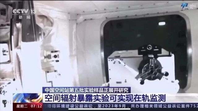 中国空间站第五批实验样品正展开研究 空间辐射暴露实验有哪些新发现?