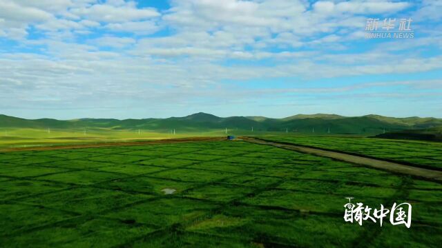 瞰中国丨内蒙古霍林郭勒市:生态矿山 向绿而行