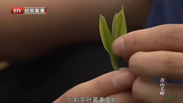 炒制茶叶最重要的是什么?