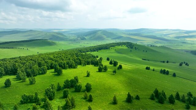 好似动漫场景!夏日内蒙古呼伦贝尔山地原野满眼绿色