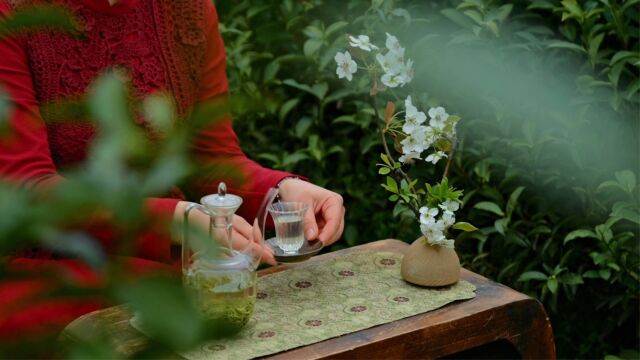 《最美茶山》宜兴市太华镇乾元茶场官方视频