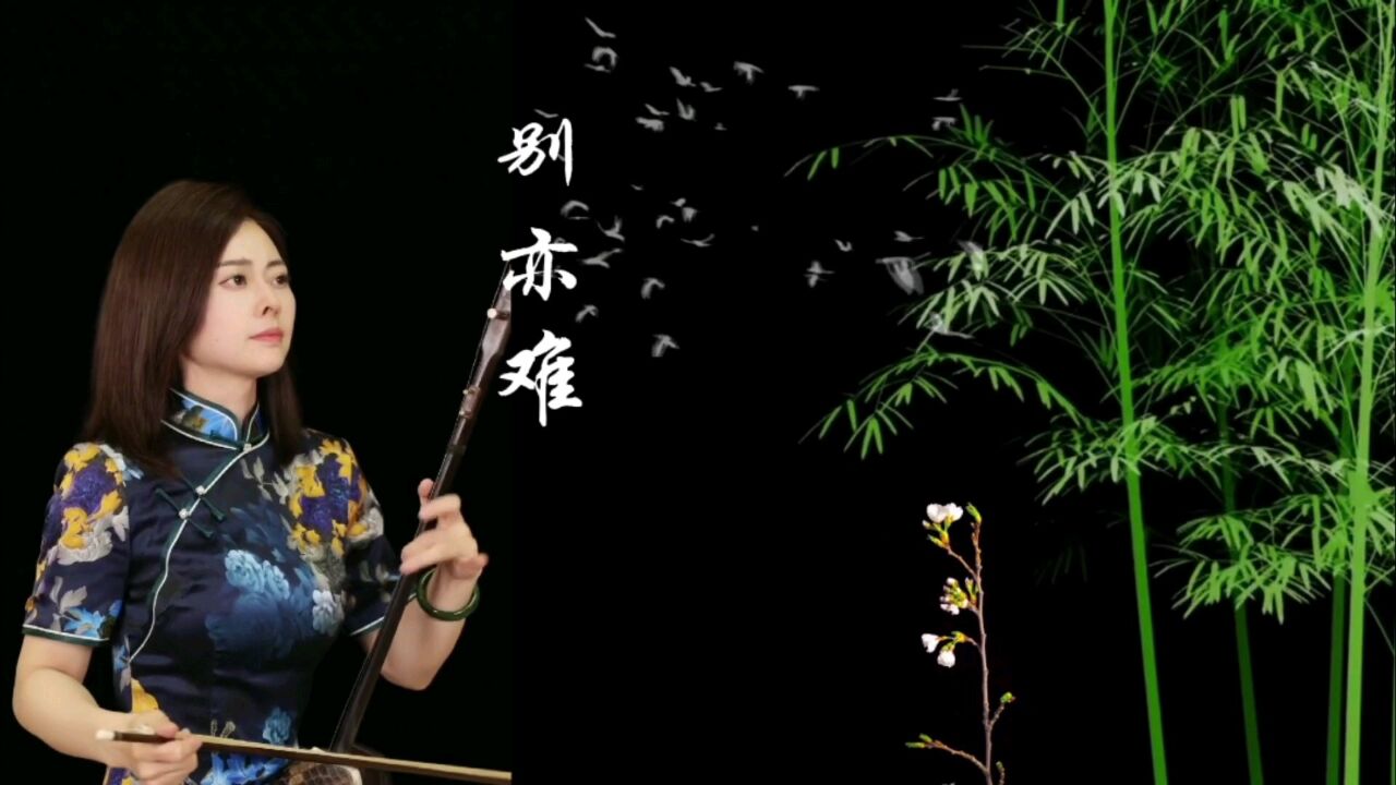 《别亦难》美女佳音二胡演奏剪辑分享