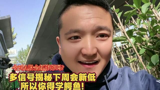 今天A股会红盘吗?多信号揭秘下周会新低,所以你得学鳄鱼!