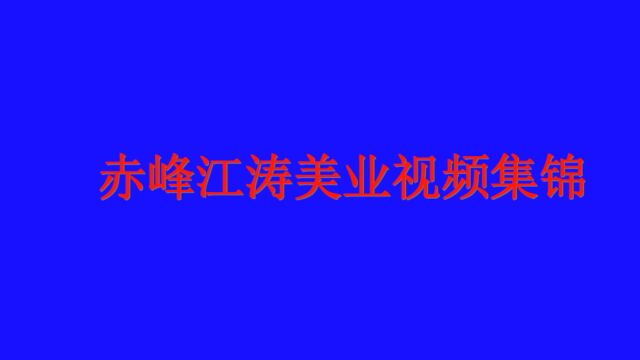 赤峰江涛美业宣传视频