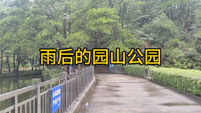 雨后的园山公园