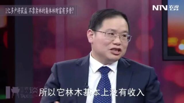 不靠卖林的集体林,究竟能为农民带来多大财富?