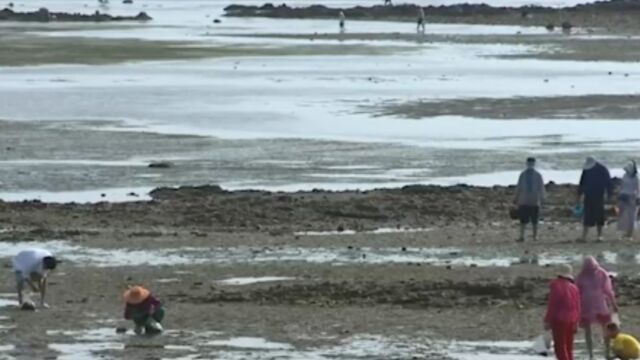 辽宁大连7月海岛游迎客流高峰